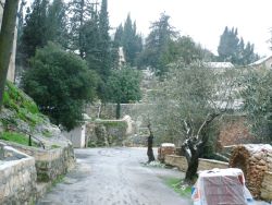 Снег в Горненском Иерусалимском монастыре -43
